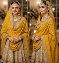 Load image into Gallery viewer, bandhani dupatta,bandhej dupatta,gharchola dupatta,bandhani dupatta online,red bandhani dupatta,bandhani dupatta silk,pink bandhani dupatta,georgette banarasi dupatta,heavy bandhani dupatta,blue bandhani dupatta,green bandhani dupatta,pure silk bandhani dupatta,pure bandhani dupatta,bandhej dupatta online,banarasi bandhani dupatta,navratri dupatta,yellow bandhani dupatta,black bandhani dupatta,banarasi bandhej dupatta,maroon bandhani dupatta