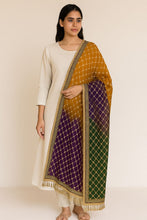 Load image into Gallery viewer, mayun dupatta, mehndi dupatta, bridal mehndi dupatta, bridal mehndi dupatta design, dark mehndi colour dupatta, dupatta for mehndi, dupatta for mehndi entrance, flower dupatta for mehndi, gota mehndi dupatta design, heavy mehndi dupatta, mayon dupatta, mayon dupatta design, mayoon dupatta, mehandi colour dupatta, mehandi colour ka dupatta, mehandi green dupatta, mehandi ka dupatta, mehendi colour dupatta, mehendi green dupatta, mehndi colour contrast dupatta, mehndi colour dupatta