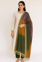 Load image into Gallery viewer, mayun dupatta, mehndi dupatta, bridal mehndi dupatta, bridal mehndi dupatta design, dark mehndi colour dupatta, dupatta for mehndi, dupatta for mehndi entrance, flower dupatta for mehndi, gota mehndi dupatta design, heavy mehndi dupatta, mayon dupatta, mayon dupatta design, mayoon dupatta, mehandi colour dupatta, mehandi colour ka dupatta, mehandi green dupatta, mehandi ka dupatta, mehendi colour dupatta, mehendi green dupatta, mehndi colour contrast dupatta, mehndi colour dupatta