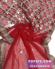 Load image into Gallery viewer, wedding red net dupatta,,red bridal net dupatta online,red color net dupatta,red colour net dupatta,red dupatta net,red net bridal dupatta,red net chunni,red net dupatta for bride,red net dupatta for lehenga,red net dupatta online,Net dupatta design 2026, latest net dupatta styles, embroidered net dupatta, bridal net dupatta design, fancy net dupatta for weddings, heavy work net dupatta, party wear net dupatta, Pakistani net dupatta trends, Indian net dupatta online, soft net dupatta designs, net dupatta 