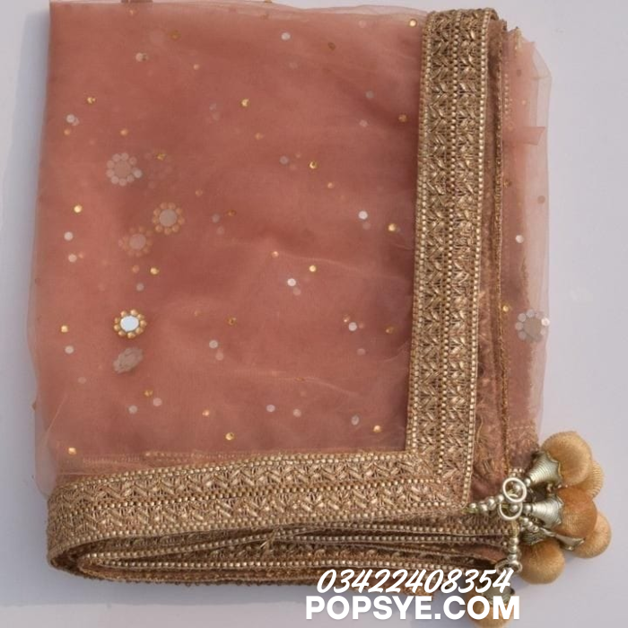gota patti dupatta, bridal gota patti dupatta, wedding gota dupatta, gota patti work dupatta, traditional gota dupatta, festive gota dupatta, designer gota patti dupatta, handwork gota patti dupatta, party wear gota dupatta, gota embellished dupatta, rajasthani gota dupatta, ethnic gota patti dupatta, gota patti net dupatta, gota patti chiffon dupatta, red gota patti dupatta, green gota patti dupatta, pink gota patti dupatta, yellow gota dupatta, golden gota patti dupatta, ivory gota patti dupatta, nikkah g