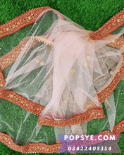 Load image into Gallery viewer, blush pink net dupatta,pink net dupatta,light pink dupatta net,light pink net dupatta,peach pink net dupatta,pink heavy net dupatta,pink net bridal dupatta online,pink net chunni,pink net dupatta bridal,pink net
dupatta for lehenga,pink net dupatta online,pink net dupatta with gold border,pink net dupatta with pearls,Net dupatta design 2026, latest net dupatta styles, embroidered net dupatta, bridal net dupatta design, fancy net dupatta for weddings, heavy work net dupatta, party wear net dupatta, 