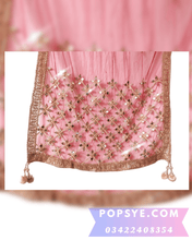 Load image into Gallery viewer, red color net dupatta,red colour net dupatta,red dupatta net,red net bridal dupatta,red net chunni,red net dupatta for bride,red net dupatta for lehenga,red net dupatta online,Net dupatta design 2026, latest net dupatta styles, embroidered net dupatta, bridal net dupatta design, fancy net dupatta for weddings, heavy work net dupatta, party wear net dupatta, Pakistani net dupatta trends, Indian net dupatta online, soft net dupatta designs, net dupatta with lace border, designer net dupatta collection, 

