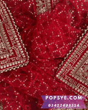 Load image into Gallery viewer, Net dupatta design 2026, latest net dupatta styles, embroidered net dupatta, bridal net dupatta design, fancy net dupatta for weddings, heavy work net dupatta, party wear net dupatta, Pakistani net dupatta trends, Indian net dupatta online, soft net dupatta designs, net dupatta with lace border, designer net dupatta collection, luxury net dupatta styles, net dupatta for lehenga, net dupatta for salwar kameezred net dupatta,affordable net dupatta, net dupatta 