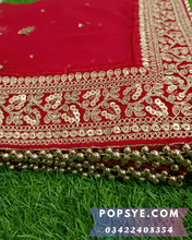 Load image into Gallery viewer, Net dupatta design 2026, latest net dupatta styles, embroidered net dupatta, bridal net dupatta design, fancy net dupatta for weddings, heavy work net dupatta, party wear net dupatta, Pakistani net dupatta trends, Indian net dupatta online, soft net dupatta designs, net dupatta with lace border, designer net dupatta collection, luxury net dupatta styles, net dupatta for lehenga, net dupatta for salwar kameez, organza vs net dupatta, red net dupatta, affordable dupatta,trending dupatta designs 2026